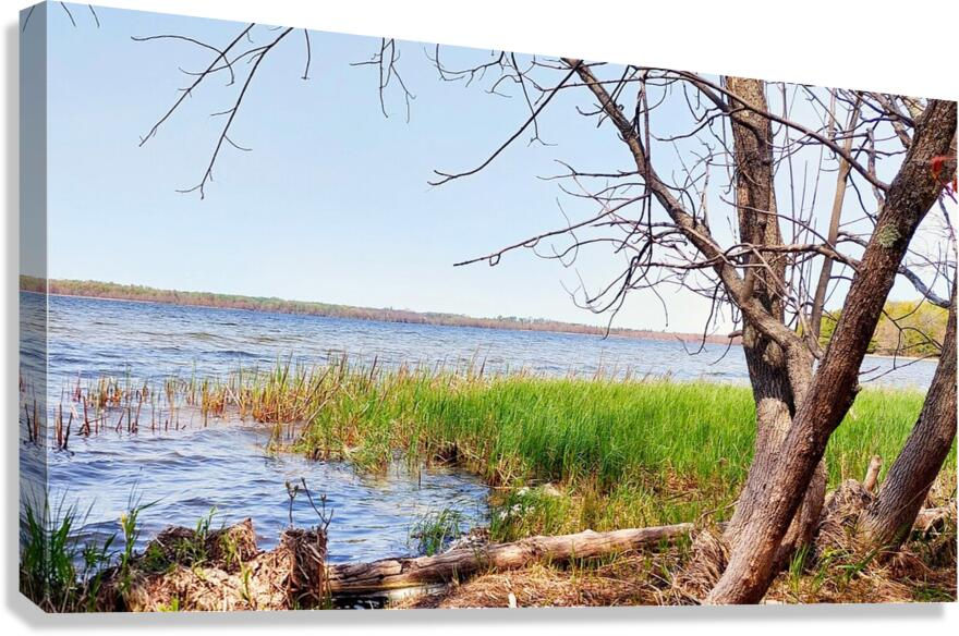 boat-lake-stretched-canvas boat lake photo printed on stretched canvas