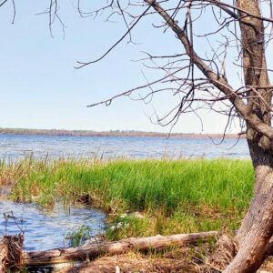 photo of boat lake and shoreline