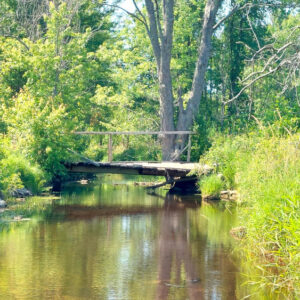 photo of boat lake creek with walking bridge
