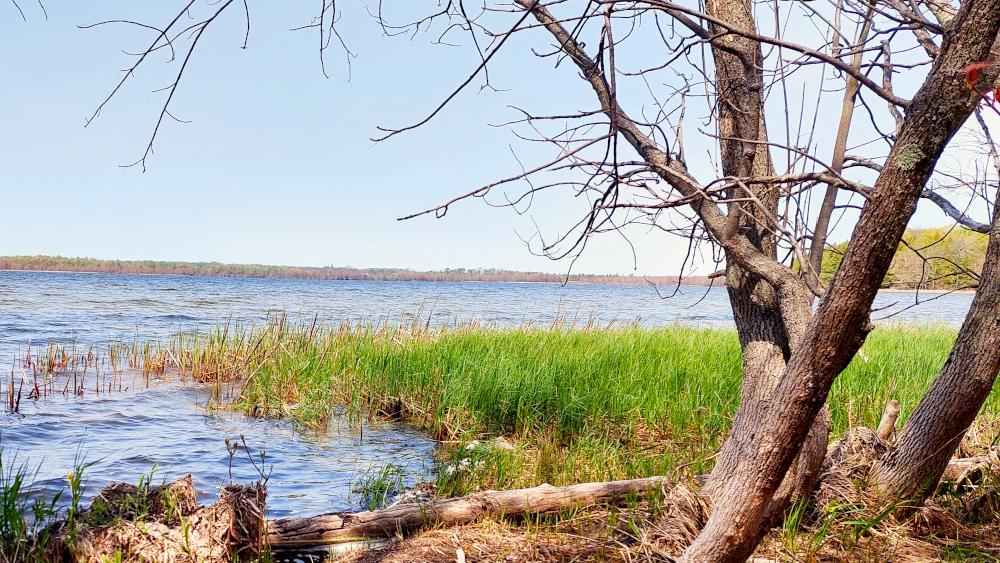 Boat-Lake photo of boat lake and shoreline