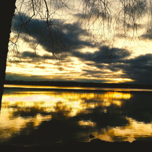 photo of sun setting over georgian bay with tree in left foreground