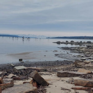 photo of wiarton beach with rocky shoreline and birds flying in the air